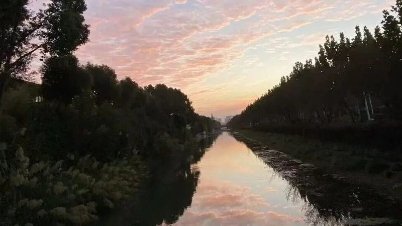 上海代理记账报税公司排名背后的合规考量